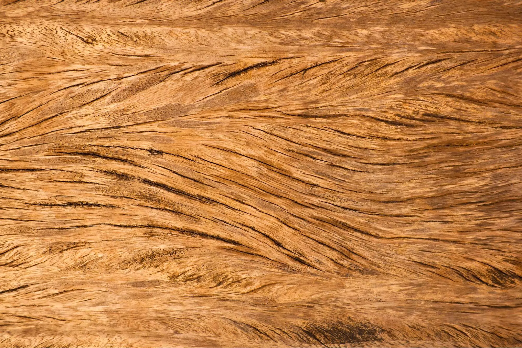 Bagaimana Cara Mengatasi Kayu Retak Saat Finishing?